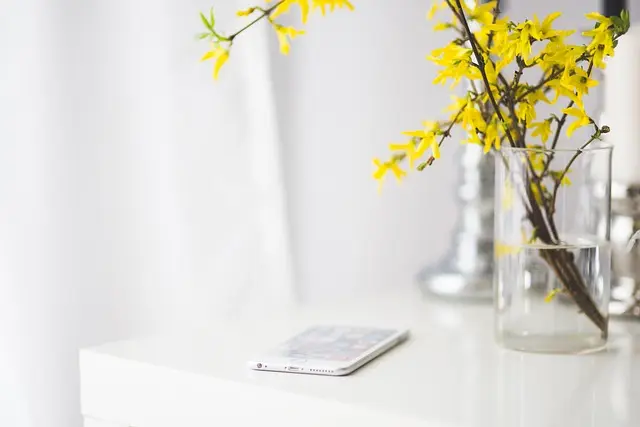 10 Pro DIY Solutions for Creating a Stylish Home Office