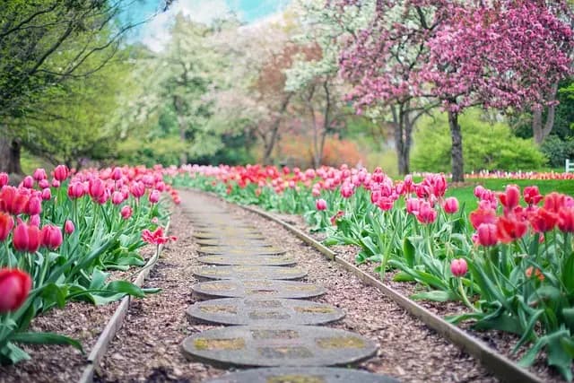Essential DIY Solutions for Creating a Professional-Looking Garden