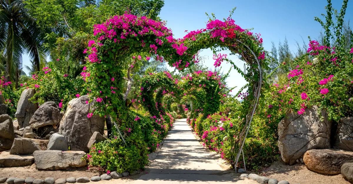Essential DIY Solutions for Creating a Professional Garden
