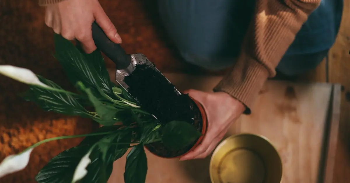 How to Choose the Right DIY Solutions for Your Home Projects