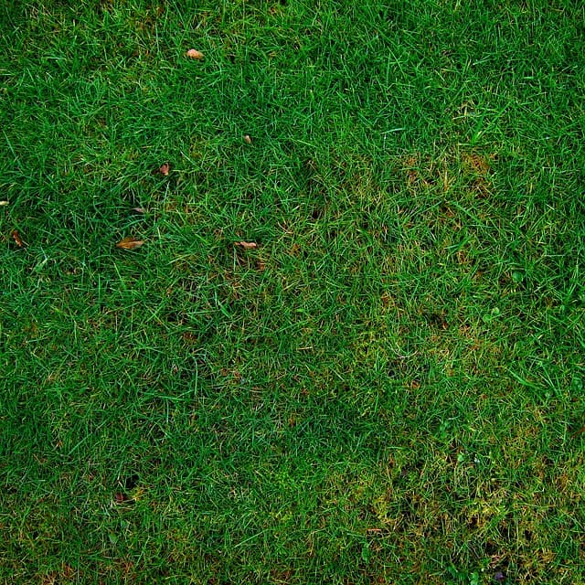 10 Pro DIY Solutions for Eco-Friendly Home Improvements